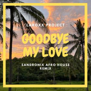 Goodbye My Love (SandroniX Afro House Remix)