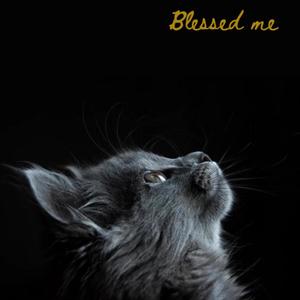 Notice (feat. mayor Richie) (Explicit)