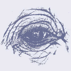 De Forest (feat. Nicolò Melocchi, Simon Svärd, Daniel Bingert, Konrad Agnas & Suranjana Ghosh)