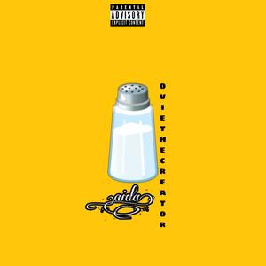 .saltie(feat. oviethecreator) (Explicit)