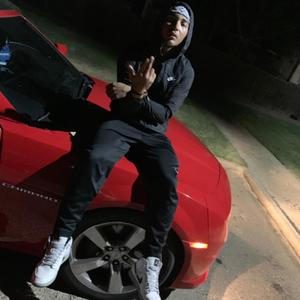 $hark - STATIC (Explicit)