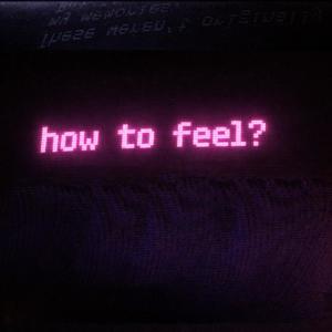 how to feel (feat. nits) (Explicit)