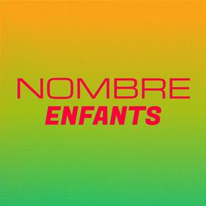 Nombre Enfants