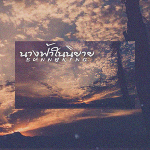 นางฟ้าในนิยาย