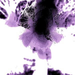 feel it in my system (Explicit)