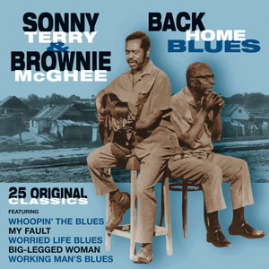 Working Man's Blues-Sonny Terry&Brownie McGhee