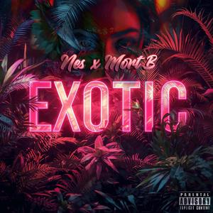 Exotic (feat. Nes) (Explicit)