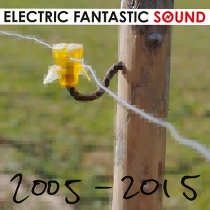 Electric Fantastic Sound (2005-2015)