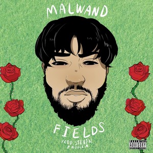 Fields (Explicit)