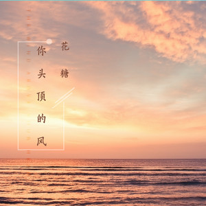 你头顶的风