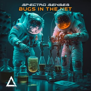 Bugs in the Net (Original Mix)
