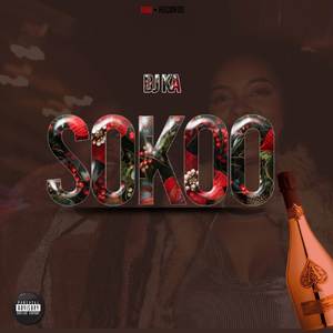 Sokoo (Remix) [Explicit]