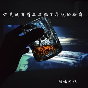 你是我自罚三杯也不愿说的秘密