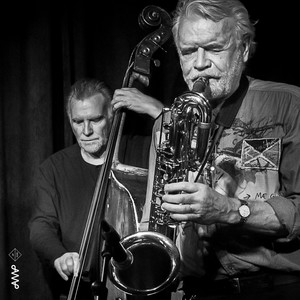 Bjørn Alterhaug - Blad på snøen