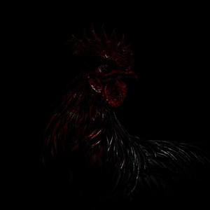 Put Ya On (feat. Bally Ogún) (Explicit)