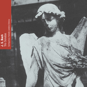 Trio Sonata in E-Flat Major, BWV 525 - I. Allegro moderato (Arr. for Flute, Oboe, Bassoon and Harpsichord)