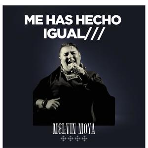 Me Has Hecho Igual (En Vivo) (En vivo)