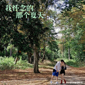 我怀念的那个夏天 (That Summer We Lost)