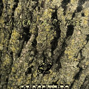 Lame As Hell (feat. Muwxpk) (Explicit)