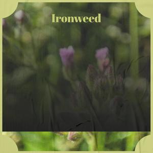 Ironweed