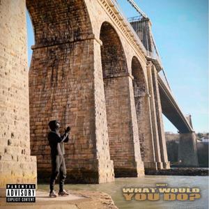 What Would You Do? (Explicit)