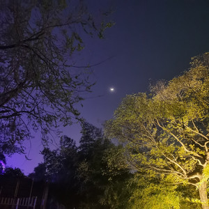 那个女人经常出现在我梦里