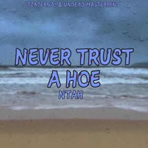 Never Trust A Hoe