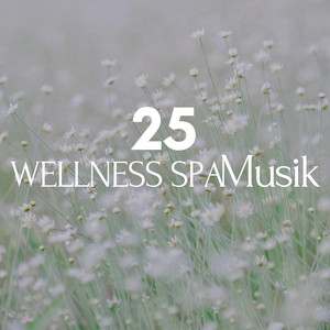 25 Wellness Spa Musik - Hintergrundmusik, Entspannungsmusik & Musik für Tiefenentspannung