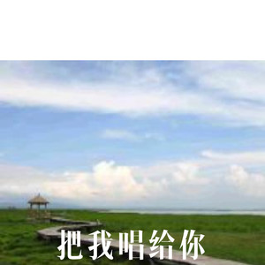 爱怎么会错封面