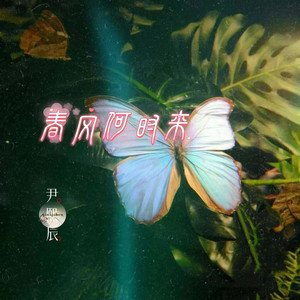 春风何时来 (Remix)