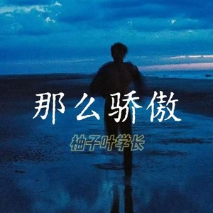 那么骄傲 (R&B版)