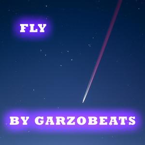 Fly