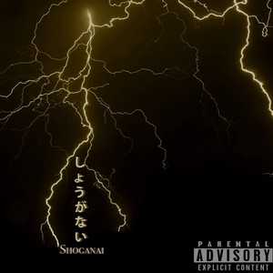 Shoganai(feat. Ludia Venus & Olandese Volante) (Explicit)