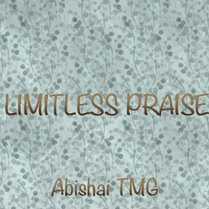 Limitless Praise