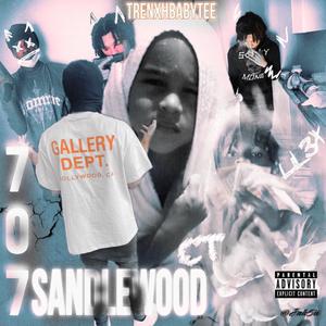 707 Sandlewood Ct (Explicit)