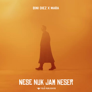 Nese nuk jam neser