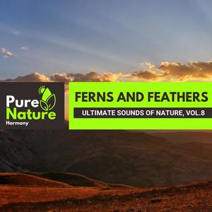 Ferns and Feathers - Ultimate Sounds of Nature, Vol.8