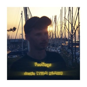 Feelings (Remix|Explicit)