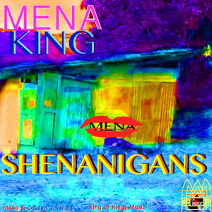 Shenanigans