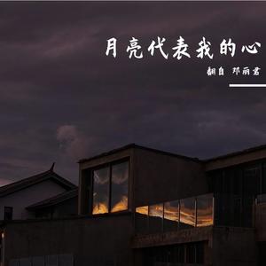月亮代表我的心