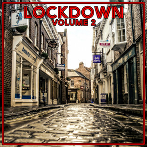 Lock Down Vol. 2