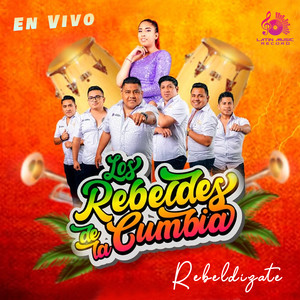 Soy Rebelde (En Vivo)
