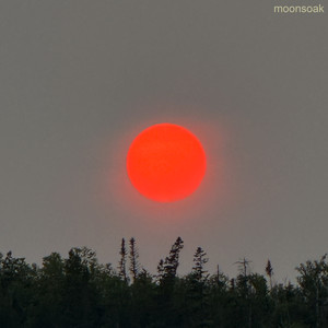 Moonsoak