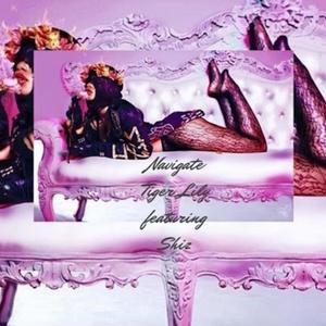 Navigate (feat. Shiz) (Explicit)