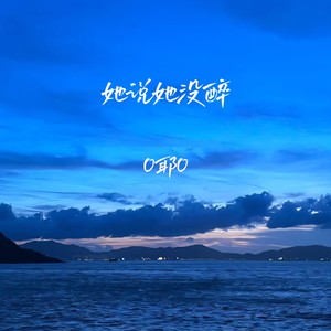 她说她没醉 (伴奏)