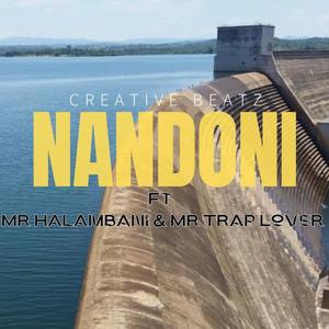 NANDONI (feat. Mr Halambani & Mr Trap Lover) [Amapiano sgija]