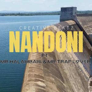 NANDONI (feat. Mr Halambani & Mr Trap Lover) (Amapiano sgija)
