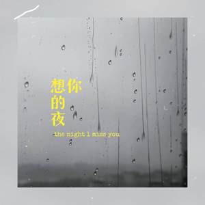 想你的夜 (DJHZ版伴奏)
