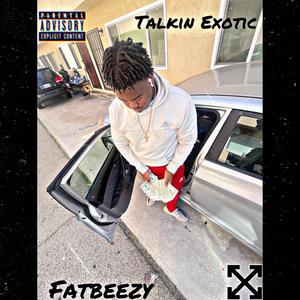 Talkin Exotic (Explicit)