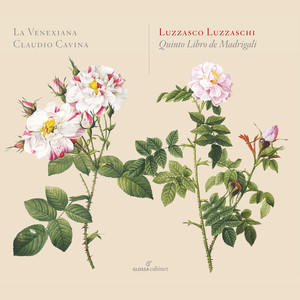 Quinto libro de madrigali - Quinto libro de madrigali: Aura che'errando intorno